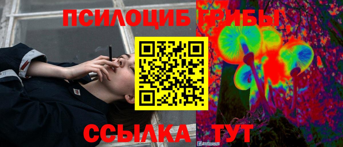 Псилоцибиновые грибы Magic Shrooms Корсаков